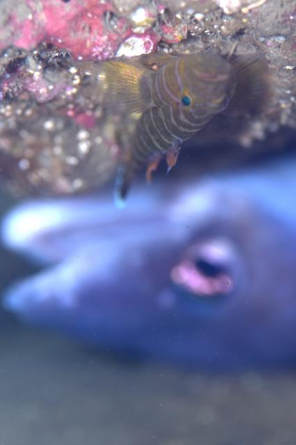 海況バッチリです〜！！