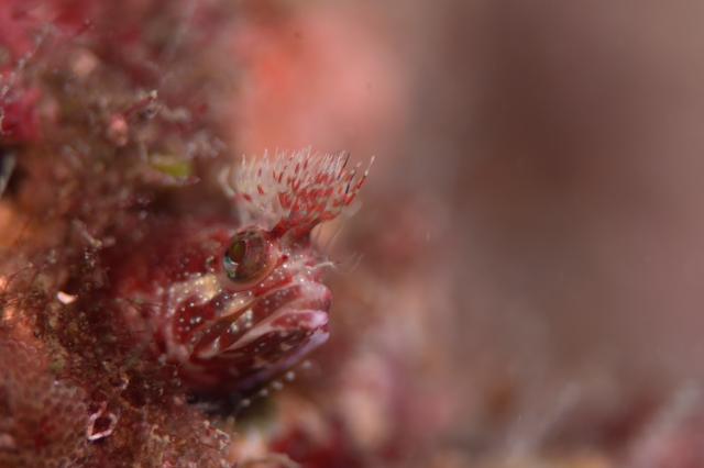 海況バッチリです〜！！