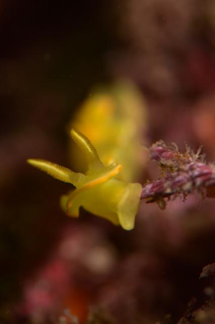 海況バッチリです〜！！