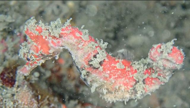 海況バッチリです〜！！