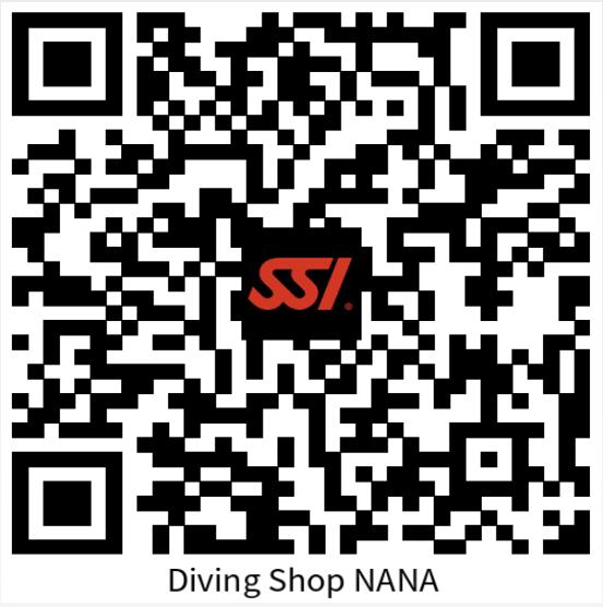 SSI 登録方法について