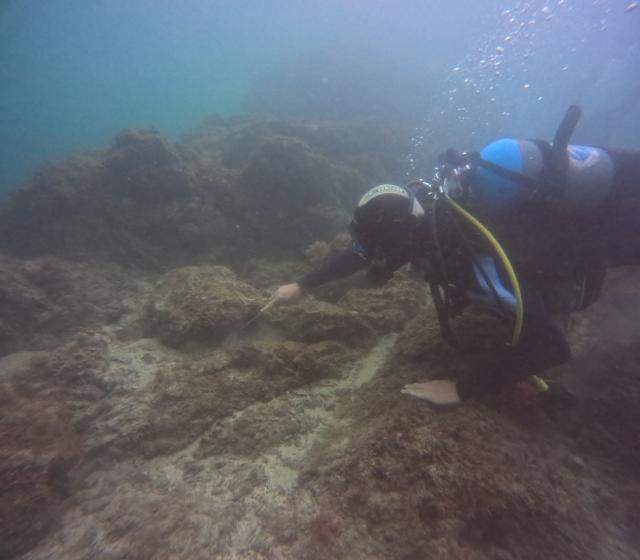 藻場保全活動！