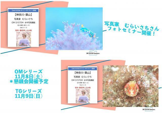 藻場とファンダイビング！