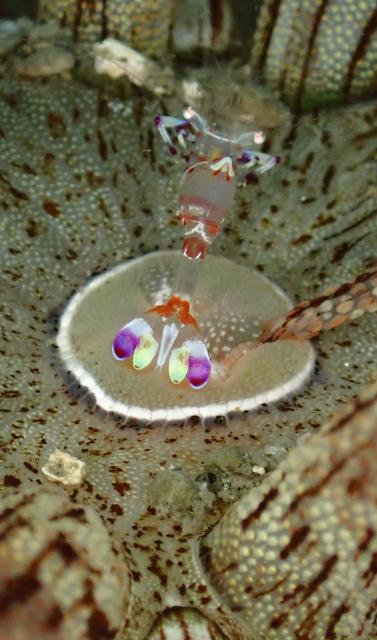 雨の中でしたが、海の中はコンディション良好でした