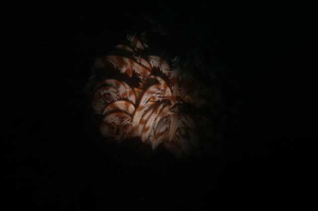 うねりが出ないうちに