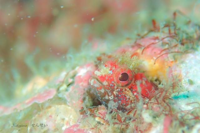 うねりが出ないうちに