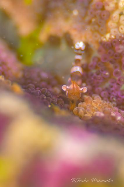 うねりが出ないうちに