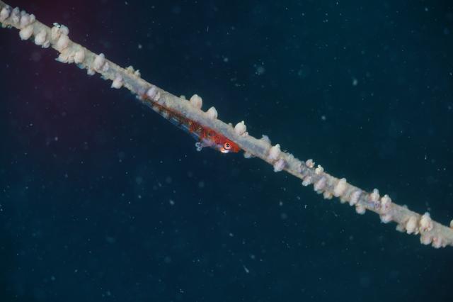 うねりが出ないうちに