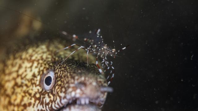 うねりが出ないうちに