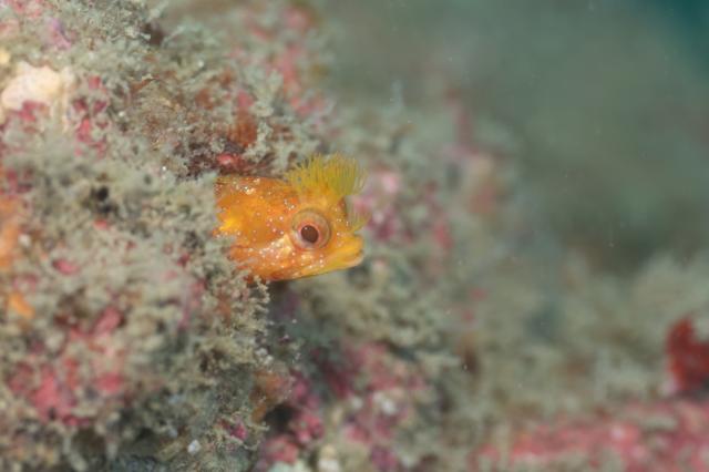 うねりが出ないうちに