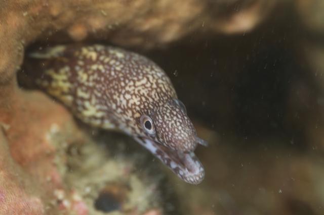 うねりが出ないうちに