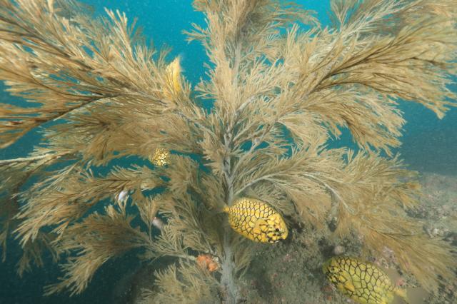 うねりが出ないうちに