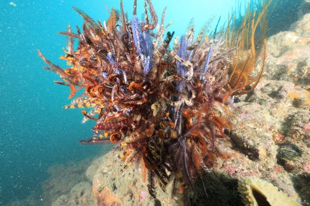 うねりが出ないうちに