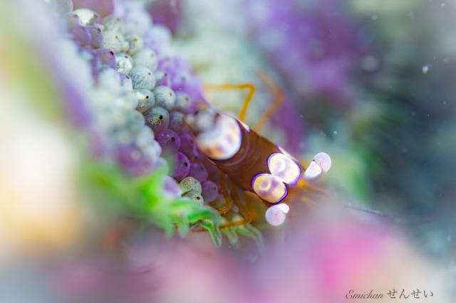 うねりが出ないうちに