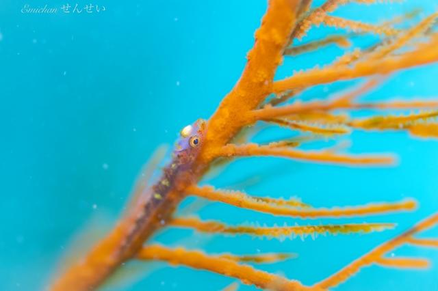 うねりが出ないうちに