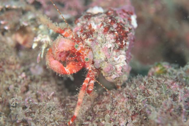 うねりが出ないうちに