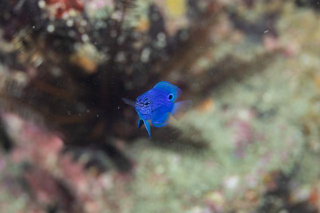 お天気悪かったけど、海況はすこぶる良好！でした