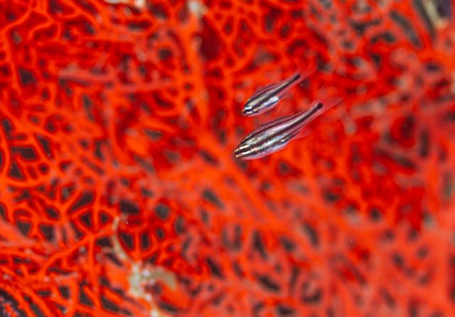 お天気悪かったけど、海況はすこぶる良好！でした