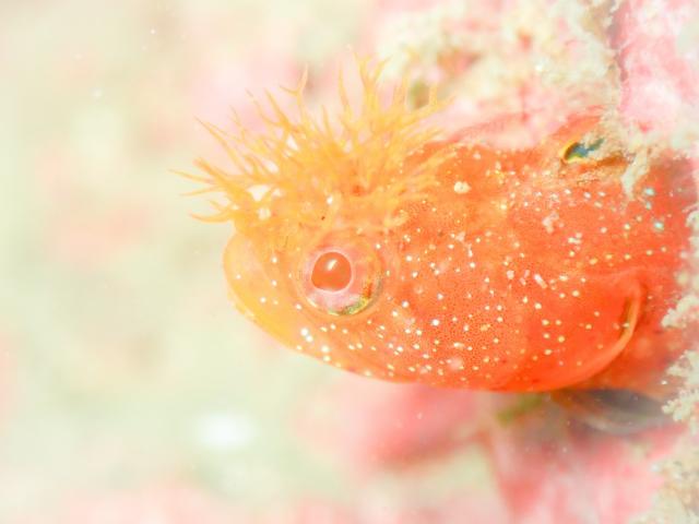 お天気悪かったけど、海況はすこぶる良好！でした