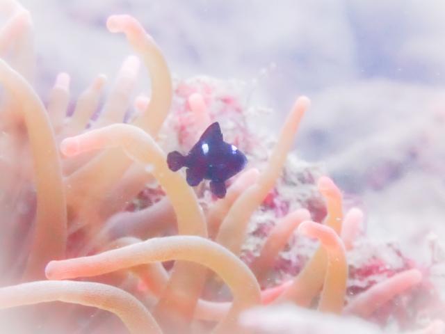 お天気悪かったけど、海況はすこぶる良好！でした