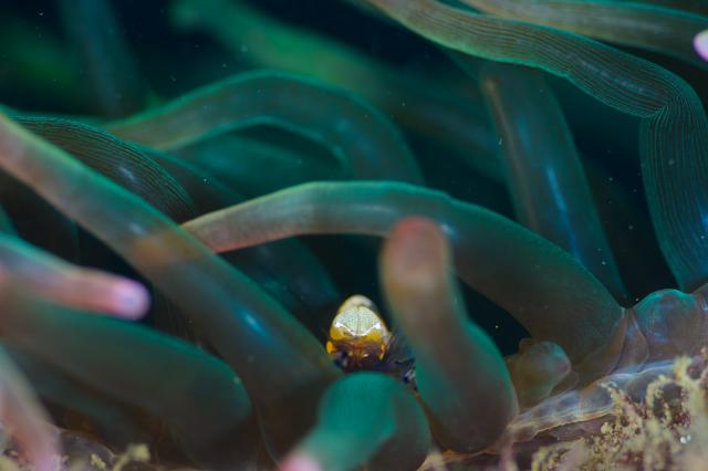 お天気悪かったけど、海況はすこぶる良好！でした