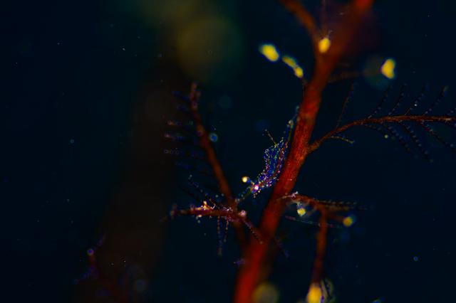 お天気悪かったけど、海況はすこぶる良好！でした