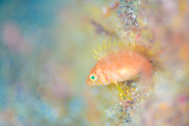 お天気悪かったけど、海況はすこぶる良好！でした