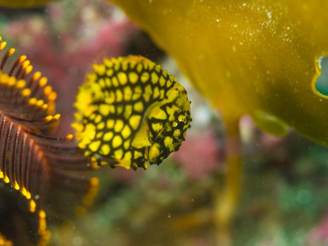 お天気悪かったけど、海況はすこぶる良好！でした
