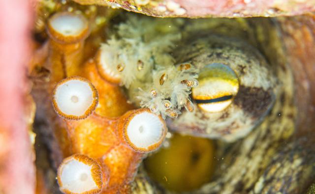 お天気悪かったけど、海況はすこぶる良好！でした