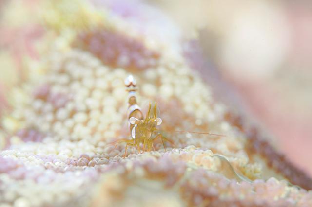 まったり日曜日