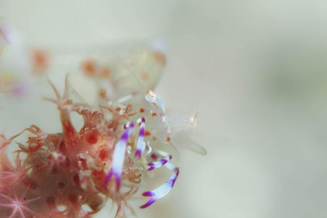 まったり日曜日