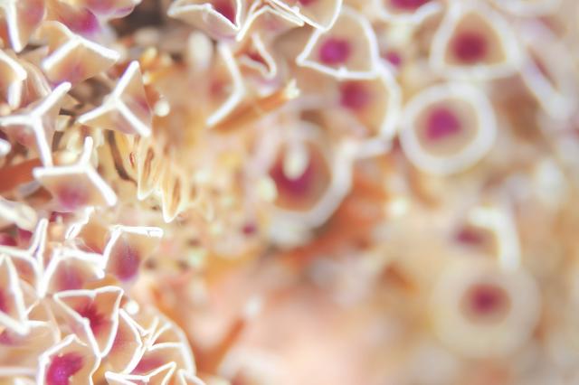 まったり日曜日