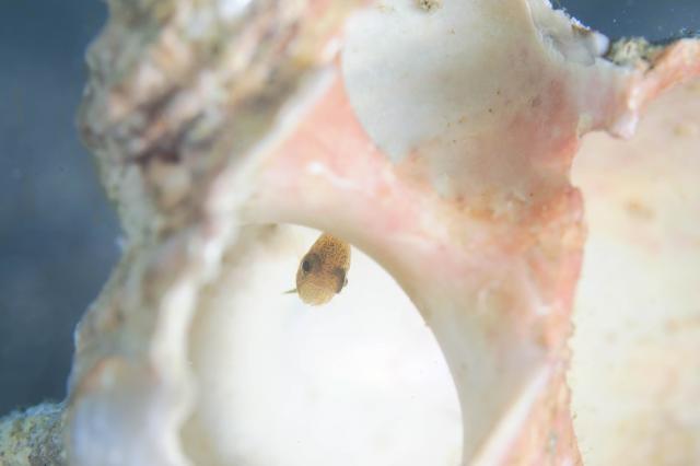 まったり日曜日