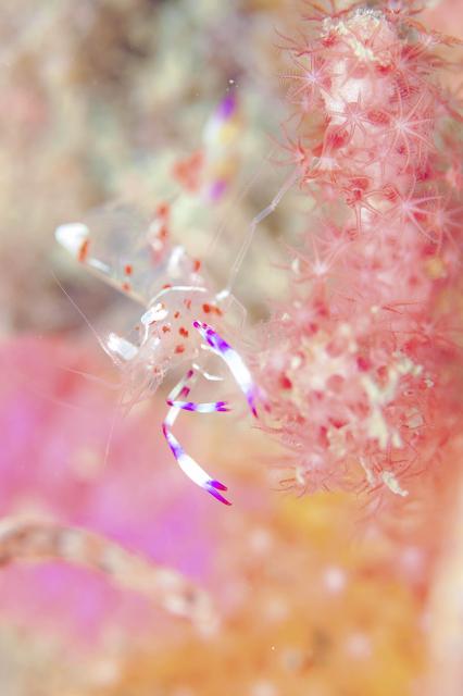 まったり日曜日