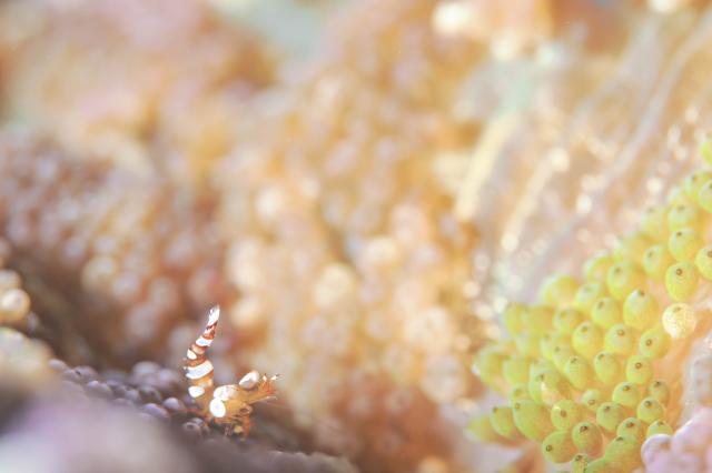 まったり日曜日