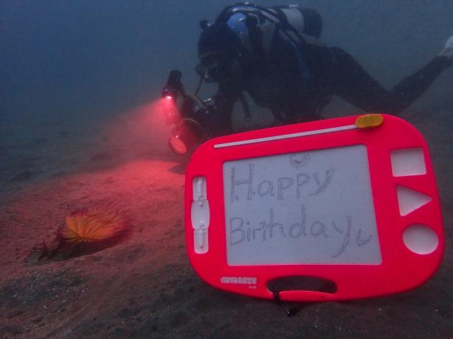 がんちゃんお誕生日おめでとう！！