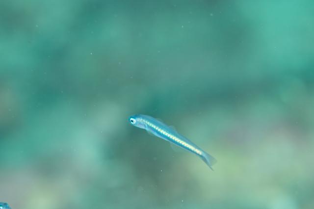 天気予報当たってください🤲