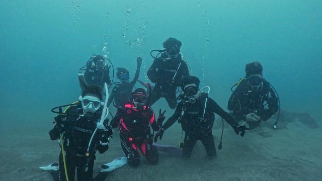 今日は団体様！