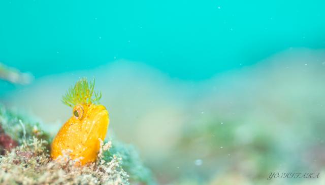 今日は久しぶりの晴天！