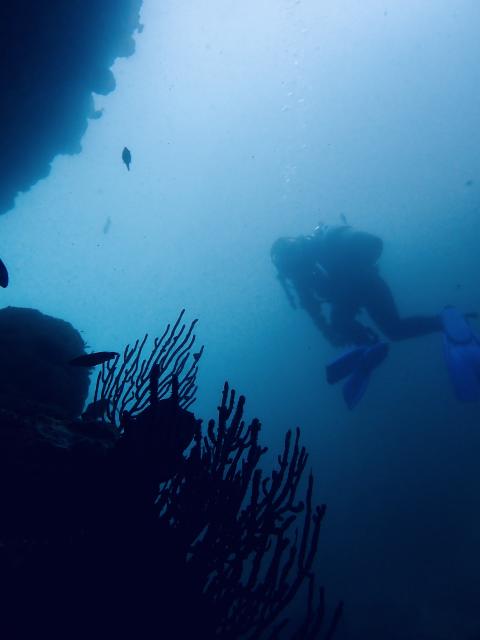 ビーチとボート！海況安定しています