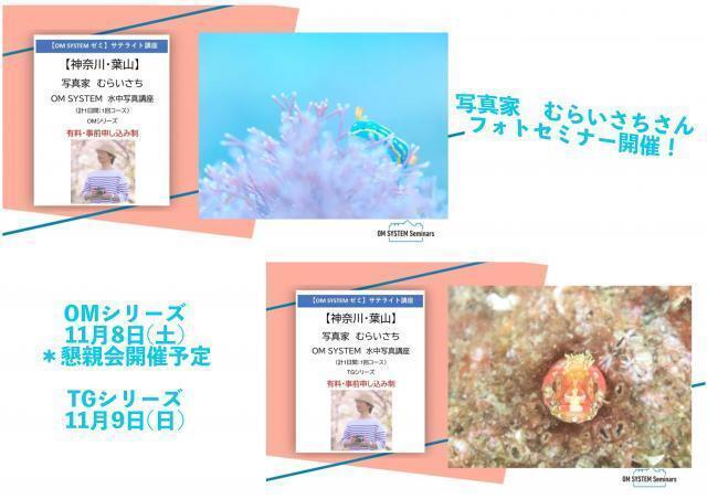 久々葉山エントリー