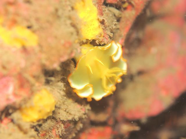 マンツーマンでのんびり