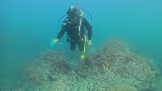 富士山今日もバッチリ！！！