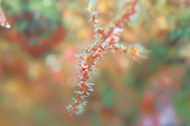 気温の割に暖かかった〜！！