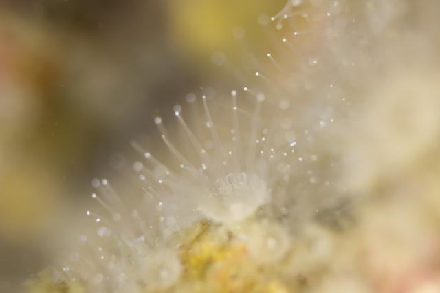 なんだか毎回のんびりですが今日ものんびりです（笑）