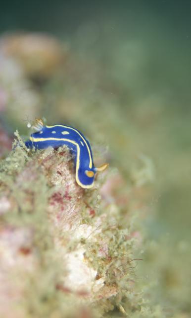 素敵な1日でした