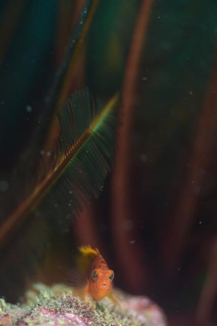 週末スタート☝️