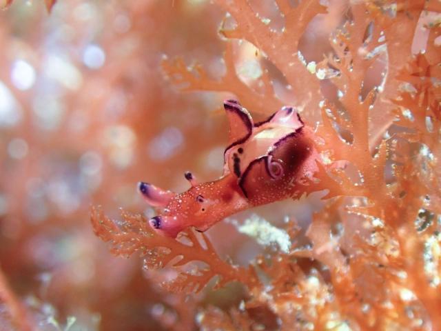 透明度良かった〜！！