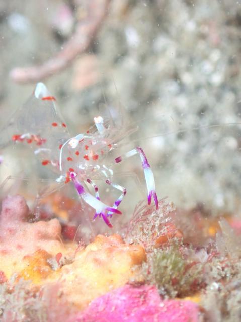 コンディション良好続いてます！！