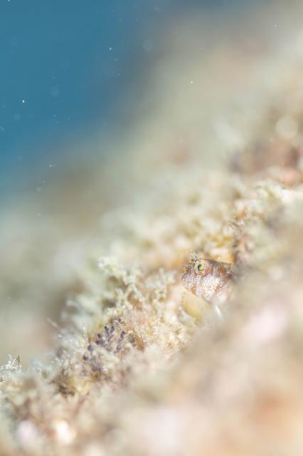 天気も海も抜群！